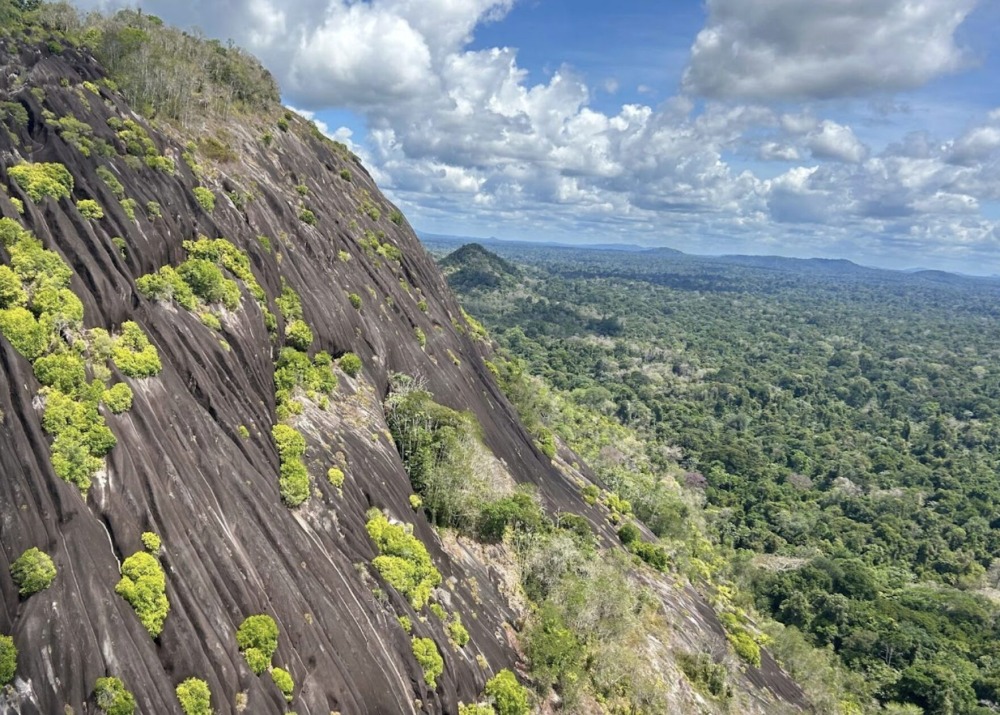 Suriname’s Voltzberg Mountain, part of the Central Suriname Nature Reserve in the Amazon Rainforest. Photo by Chris Jordan, Re:wild