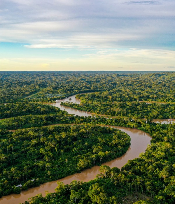 Amazon Rainforest, by Panga Media