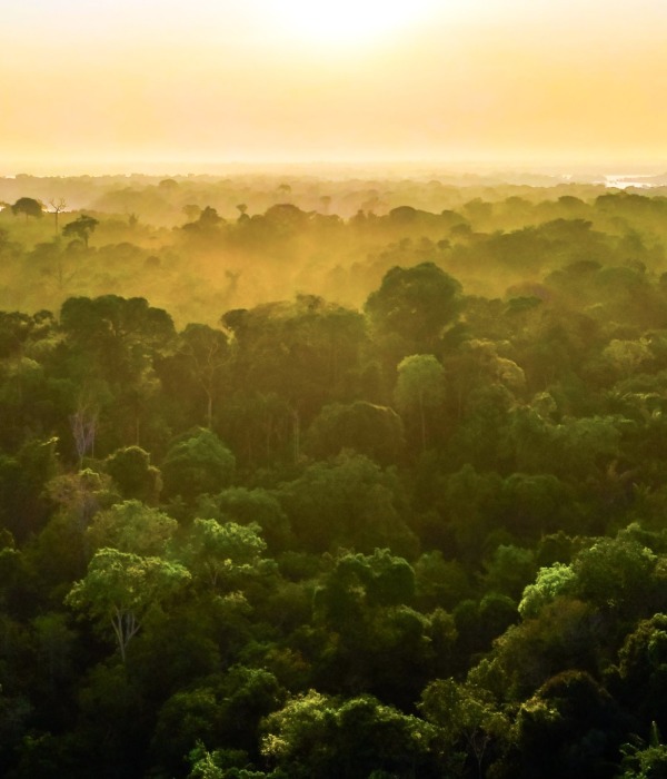 Brazilian Amazon, state of Amazonas, by Photo Spirit