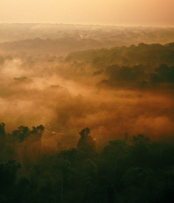 The Congo Basin
