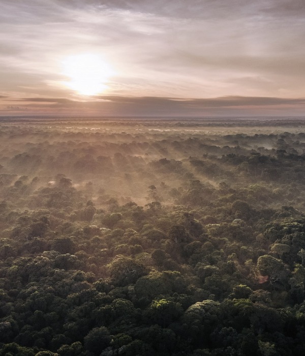 The tropical peatlands of Democratic Republic of the Congo, by Alexis Huguet