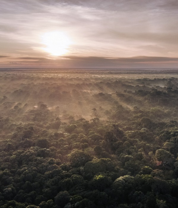The tropical peatlands of Democratic Republic of the Congo, by Alexis Huguet
