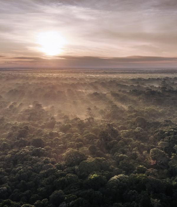 The tropical peatlands of Democratic Republic of the Congo, by Alexis Huguet
