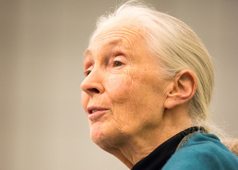 Dr. Jane Goodall speaks at The Agnes Irwin School in Rosemont, PA in 2015, by Kelleher Photography
