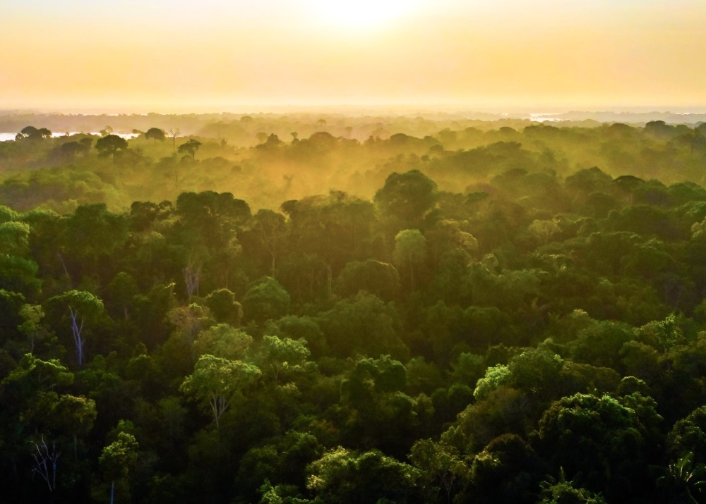 Brazilian Amazon, state of Amazonas, by Photo Spirit