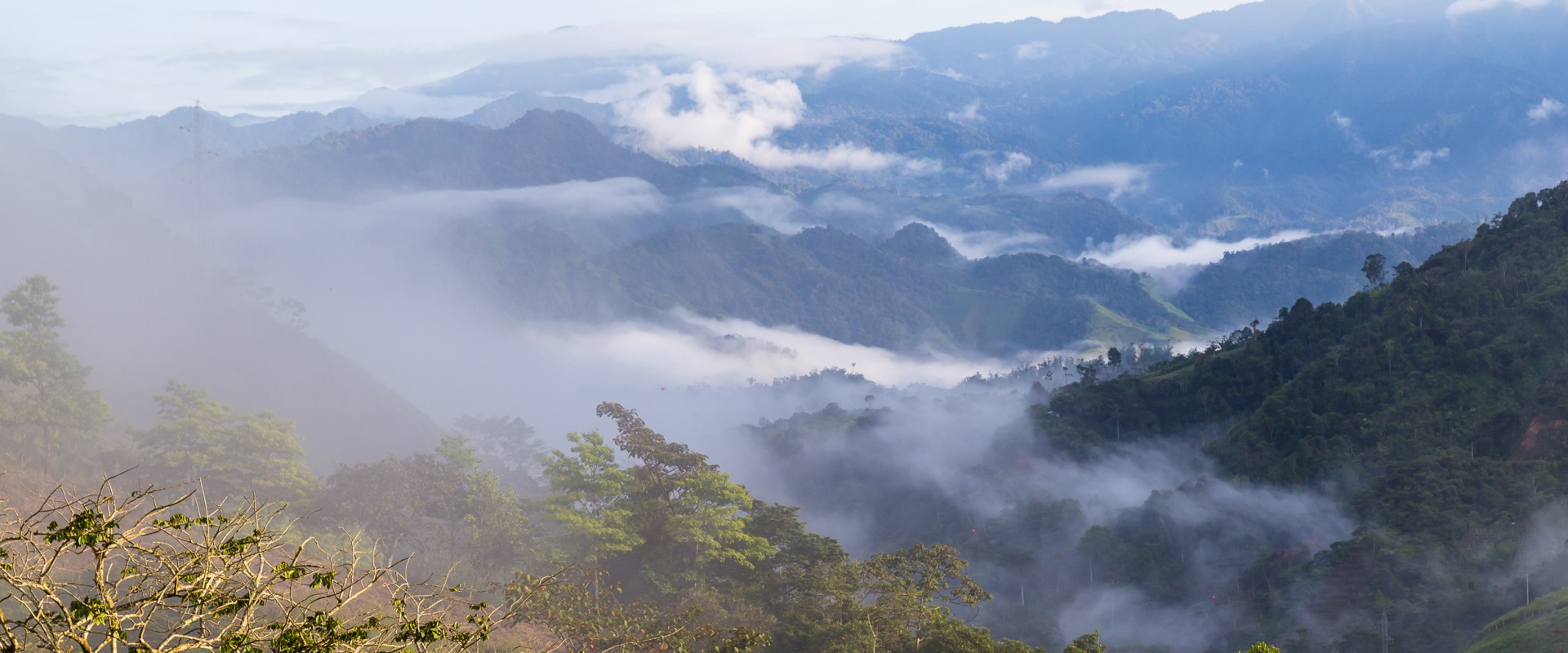 Ecuadorian Chocó Rainforest, by Ecuadorpostales