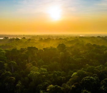 Brazilian Amazon, state of Amazonas, by Photo Spirit