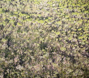 Lisima project site in Angola © Antoine Marchal