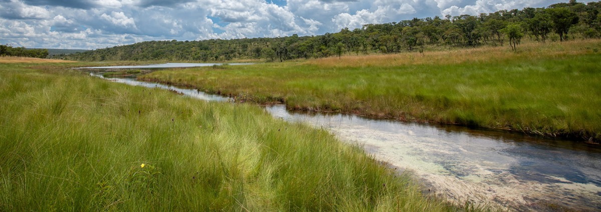 Lisima project site in Angola © Antoine Marchal