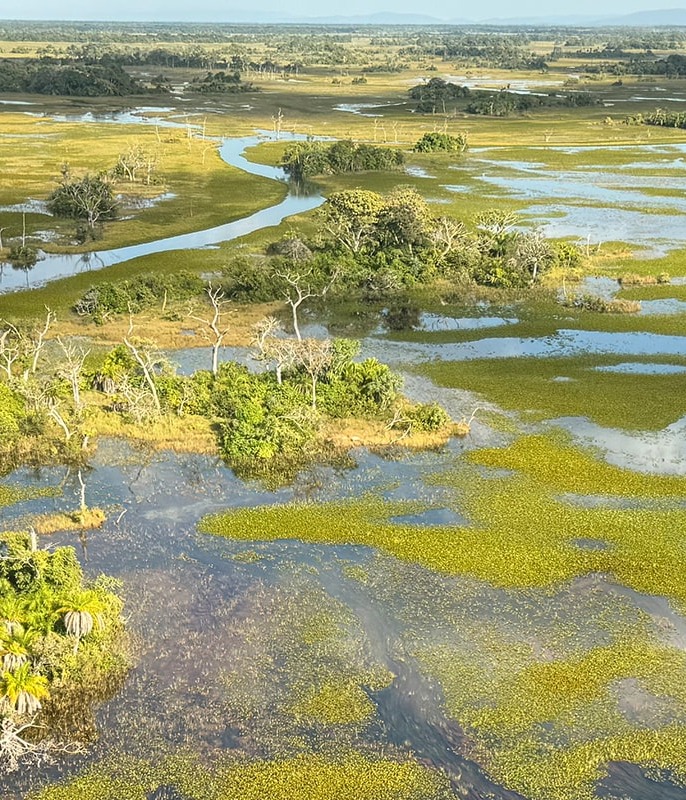 The Taquari wetlands of the Pantanal, courtesy of Onçafari