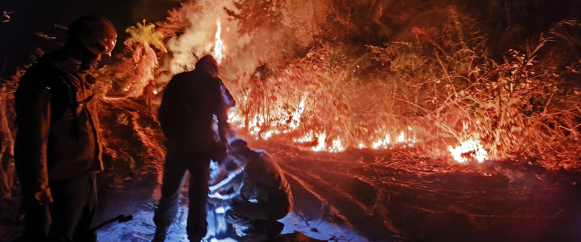 Fires in the Pantanal are destroying the biodiverse wetlands of the Pantanal. Photo courtesy of Onçafari