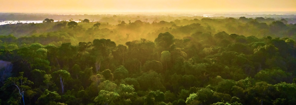 Brazilian Amazon, state of Amazonas, by Photo Spirit