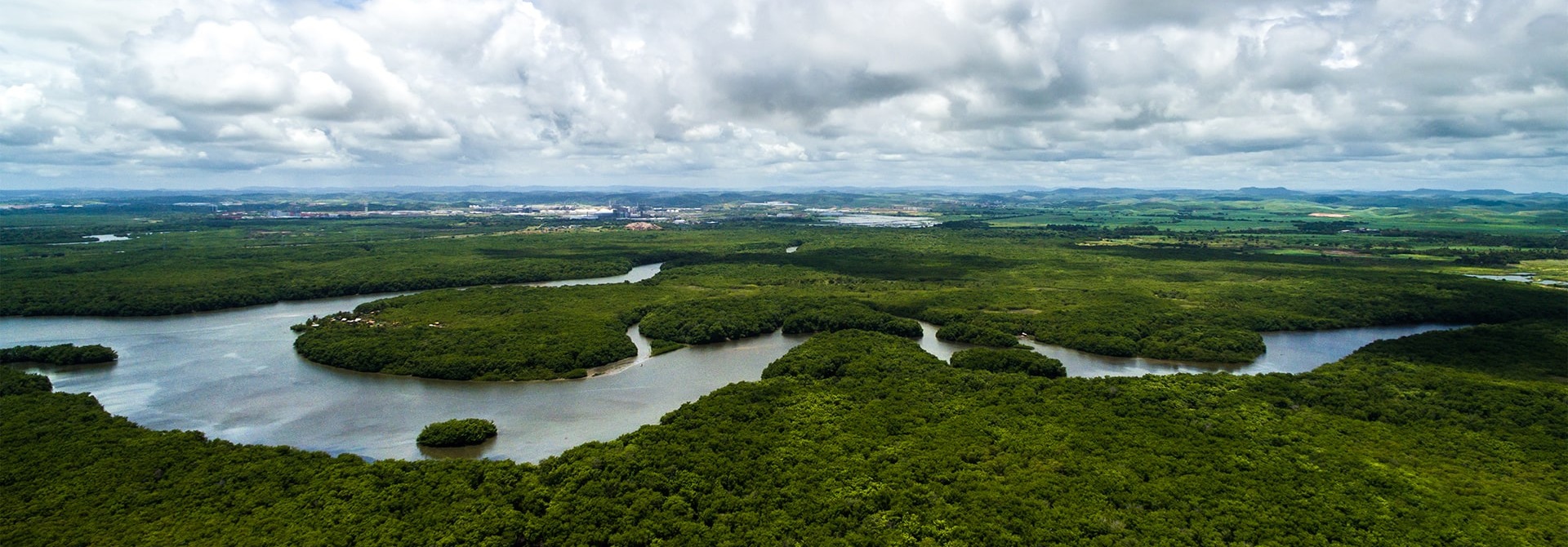 The Brazilian Rainforest, by Gustavo Frazao