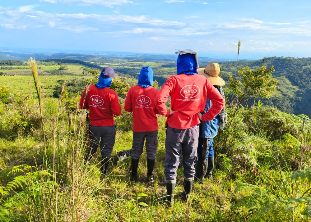 HALO staff work to clear landmines from the project area, photo courtesy of HALO