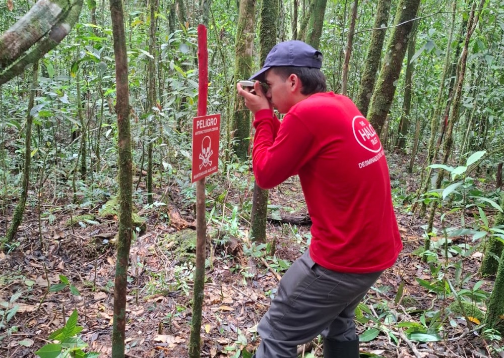 HALO staff work to clear landmines from the project area, photo courtesy of HALO