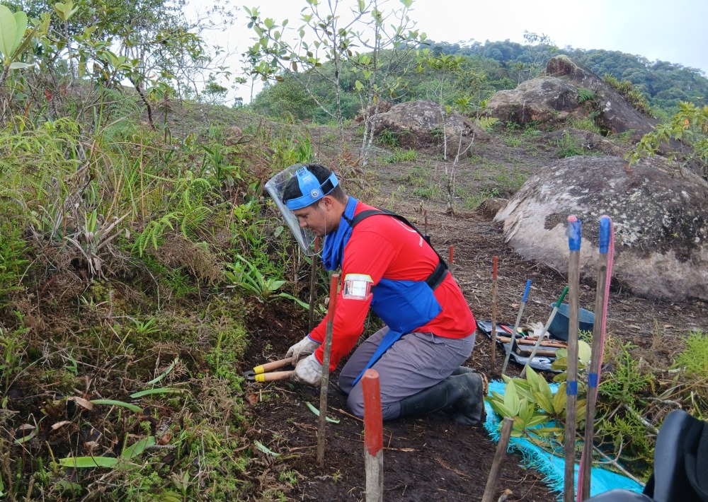 HALO staff work to clear landmines from the project area, photo courtesy of HALO
