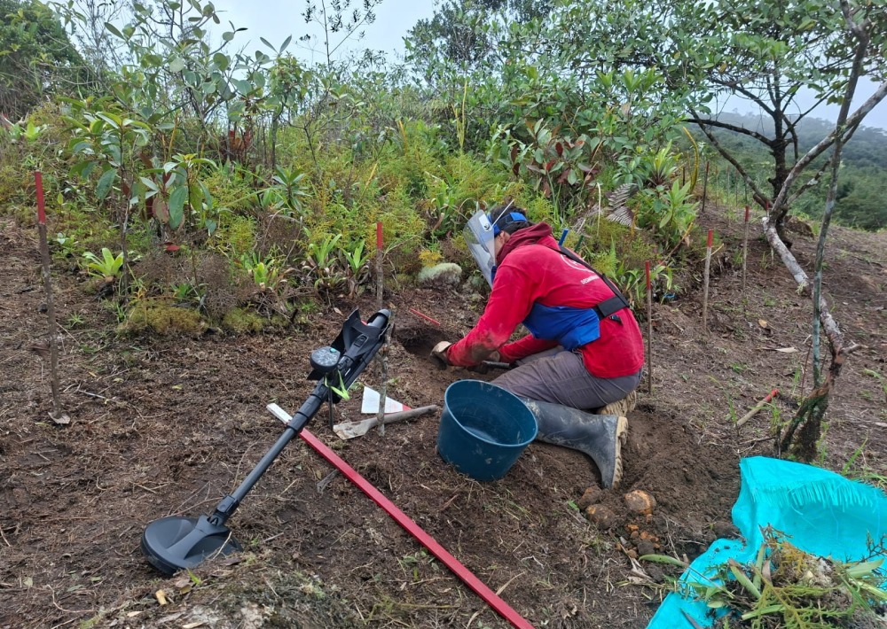 HALO staff work to clear landmines from the project area, photo courtesy of HALO