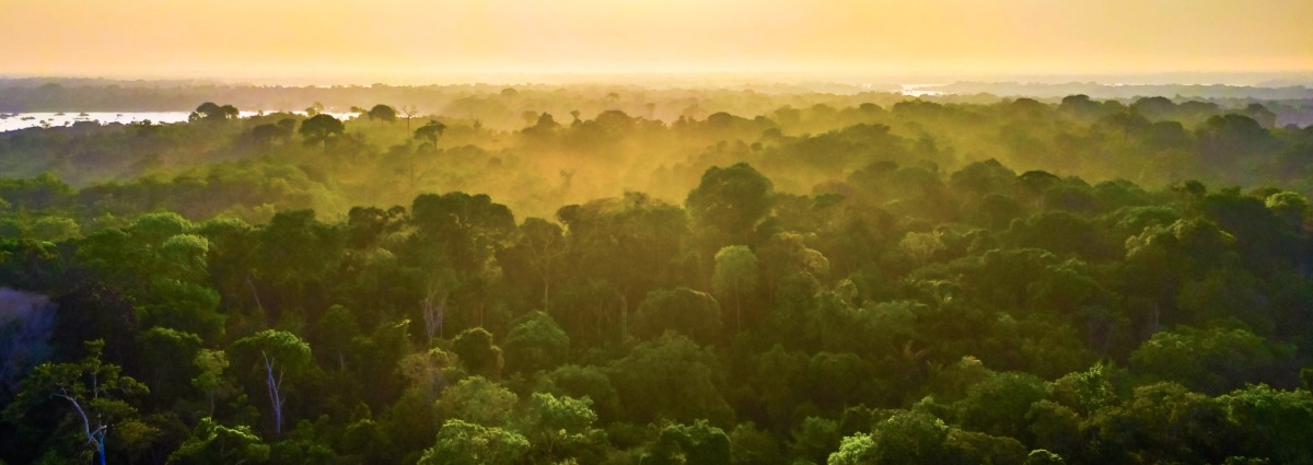 Brazilian Amazon, state of Amazonas, by Photo Spirit